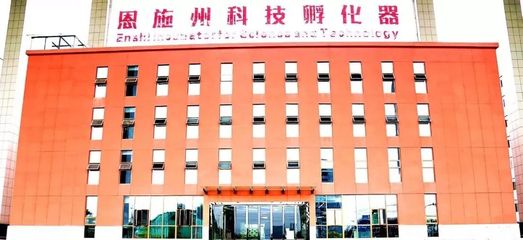 恩施創業扶持政策解讀 房租減免與資金支持，創業孵化器助力夢想啟航