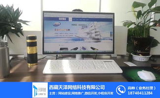 網(wǎng)絡推廣,拉薩微信程序開發(fā),天澤網(wǎng)絡 優(yōu)質(zhì)商家